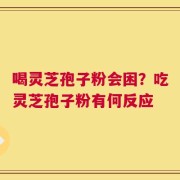 喝灵芝孢子粉会困？吃灵芝孢子粉有何反应
