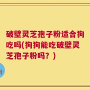破壁灵芝孢子粉适合狗吃吗(狗狗能吃破壁灵芝孢子粉吗？)