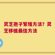 灵芝孢子繁殖方法？灵芝移植最佳方法
