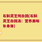 石斛灵芝炖白鸽(石斛灵芝白鸽汤：营养美味补身体)