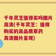 千年灵芝值得买吗图片高清(千年灵芝：值得购买的高品质草药  高清图片呈现)