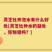 灵芝杜仲泡水有什么好处(灵芝杜仲水的益处，你知道吗？)