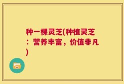 种一棵灵芝(种植灵芝：营养丰富，价值非凡)