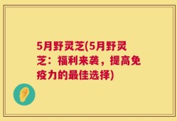 5月野灵芝(5月野灵芝：福利来袭，提高免疫力的最佳选择)