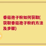 香菇孢子粉如何获取(获取香菇孢子粉的方法及步骤)
