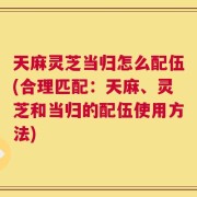 天麻灵芝当归怎么配伍(合理匹配：天麻、灵芝和当归的配伍使用方法)