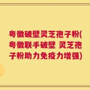 粤徽破壁灵芝孢子粉(粤徽联手破壁 灵芝孢子粉助力免疫力增强)
