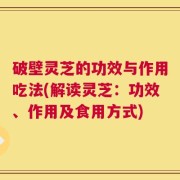 破壁灵芝的功效与作用吃法(解读灵芝：功效、作用及食用方式)