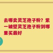 去哪卖灵芝孢子粉？紫一破壁灵芝孢子粉到哪里买最好
