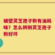 破壁灵芝孢子粉有油耗味？怎么辨别灵芝孢子粉好坏