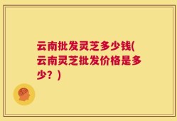 云南批发灵芝多少钱(云南灵芝批发价格是多少？)
