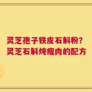 灵芝孢子铁皮石斛粉？灵芝石斛炖瘦肉的配方