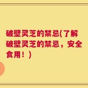 破壁灵芝的禁忌(了解破壁灵芝的禁忌，安全食用！)
