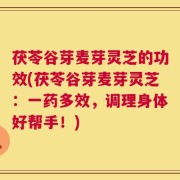 茯苓谷芽麦芽灵芝的功效(茯苓谷芽麦芽灵芝：一药多效，调理身体好帮手！)