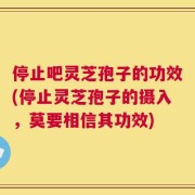 停止吧灵芝孢子的功效(停止灵芝孢子的摄入，莫要相信其功效)