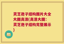 灵芝孢子结构图片大全大图高清(高清大图：灵芝孢子结构完整展示)