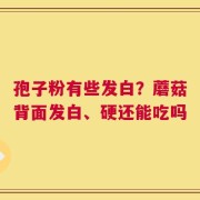 孢子粉有些发白？蘑菇背面发白、硬还能吃吗