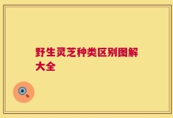 野生灵芝种类区别图解大全