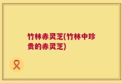 竹林赤灵芝(竹林中珍贵的赤灵芝)