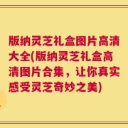 版纳灵芝礼盒图片高清大全(版纳灵芝礼盒高清图片合集，让你真实感受灵芝奇妙之美)