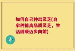 如何自己种出灵芝(自家种植高品质灵芝，生活健康迈步向前)
