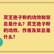 灵芝孢子粉的功效和禁忌是什么？灵芝孢子粉的功效、作用及禁忌是什么？
