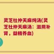 灵芝杜仲天麻炖汤(灵芝杜仲天麻汤：滋阴补肾，益精养血)