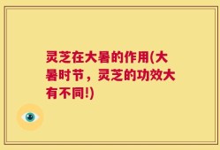 灵芝在大暑的作用(大暑时节，灵芝的功效大有不同!)