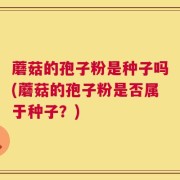 蘑菇的孢子粉是种子吗(蘑菇的孢子粉是否属于种子？)