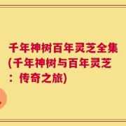 千年神树百年灵芝全集(千年神树与百年灵芝：传奇之旅)