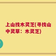 上山找木灵芝(寻找山中灵草：木灵芝)