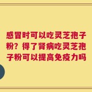 感冒时可以吃灵芝孢子粉？得了肾病吃灵芝孢子粉可以提高免疫力吗
