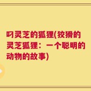 叼灵芝的狐狸(狡猾的灵芝狐狸：一个聪明的动物的故事)