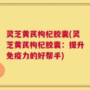 灵芝黄芪枸杞胶囊(灵芝黄芪枸杞胶囊：提升免疫力的好帮手)