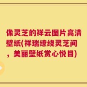 像灵芝的祥云图片高清壁纸(祥瑞缭绕灵芝间，美丽壁纸赏心悦目)
