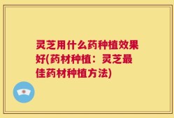 灵芝用什么药种植效果好(药材种植：灵芝最佳药材种植方法)