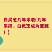白灵芝几年采收(几年采摘，白灵芝成为宝藏！)