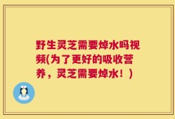 野生灵芝需要焯水吗视频(为了更好的吸收营养，灵芝需要焯水！)