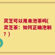 灵芝可以用来泡茶吗(灵芝茶：如何正确泡制？)