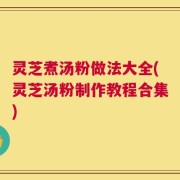 灵芝煮汤粉做法大全(灵芝汤粉制作教程合集)