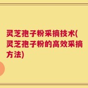 灵芝孢子粉采摘技术(灵芝孢子粉的高效采摘方法)