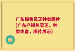 广东褐色灵芝种类图片(广东产褐色灵芝，种类丰富，图片展示)