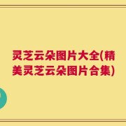 灵芝云朵图片大全(精美灵芝云朵图片合集)