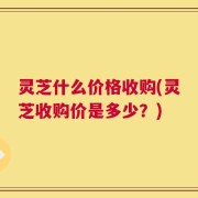 灵芝什么价格收购(灵芝收购价是多少？)