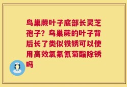 鸟巢蕨叶子底部长灵芝孢子？鸟巢蕨的叶子背后长了类似铁锈可以使用高效氯氟氰菊酯除锈吗