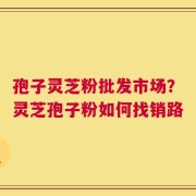 孢子灵芝粉批发市场？灵芝孢子粉如何找销路