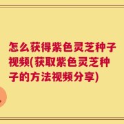 怎么获得紫色灵芝种子视频(获取紫色灵芝种子的方法视频分享)