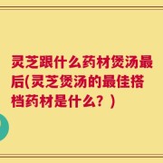 灵芝跟什么药材煲汤最后(灵芝煲汤的最佳搭档药材是什么？)