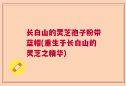 长白山的灵芝孢子粉带蓝帽(重生于长白山的灵芝之精华)