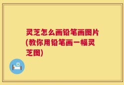 灵芝怎么画铅笔画图片(教你用铅笔画一幅灵芝图)